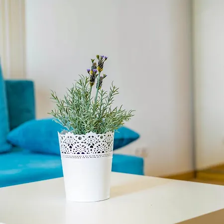 Myflat Club 218 Belvedere Wellness شقة